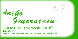 aniko feuerstein business card